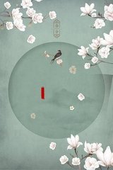 猫咪社区官网入口在线观看